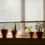 Zebra Blinds