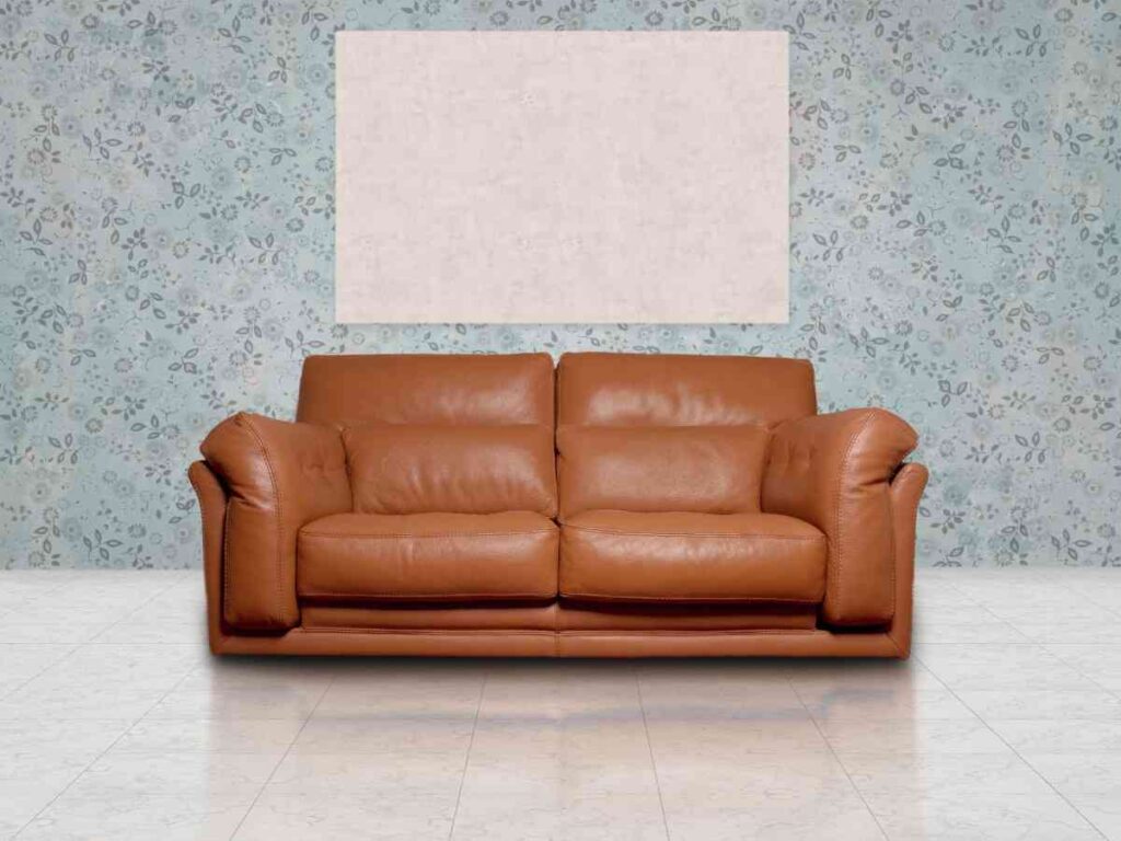 Leather couch upholstery