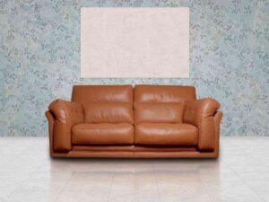 Leather couch upholstery